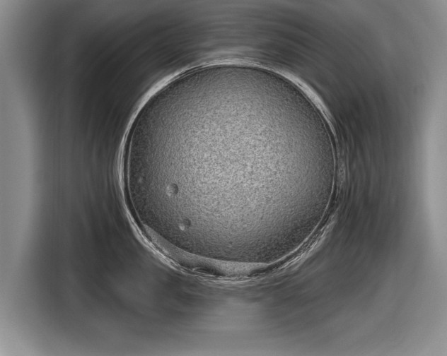 X0000116630957200912181322