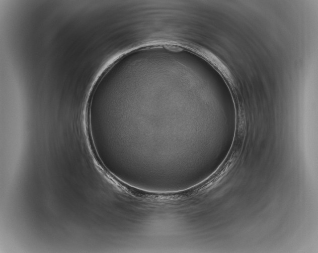 X0000116630958200912181322