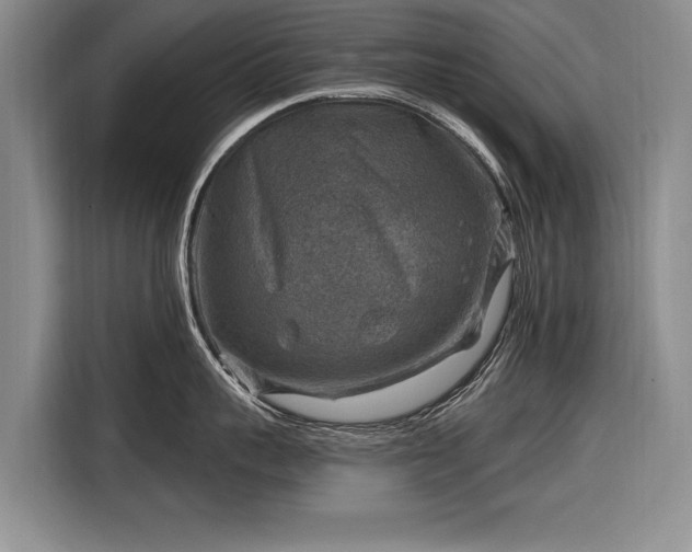 X0000116630959200912181322