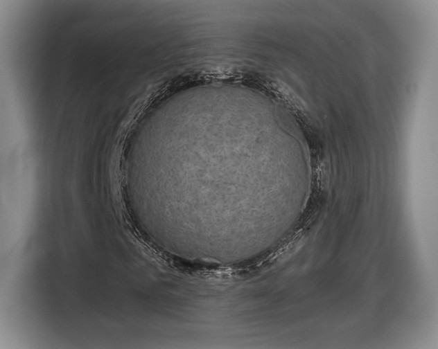 X0000116630961200912181322