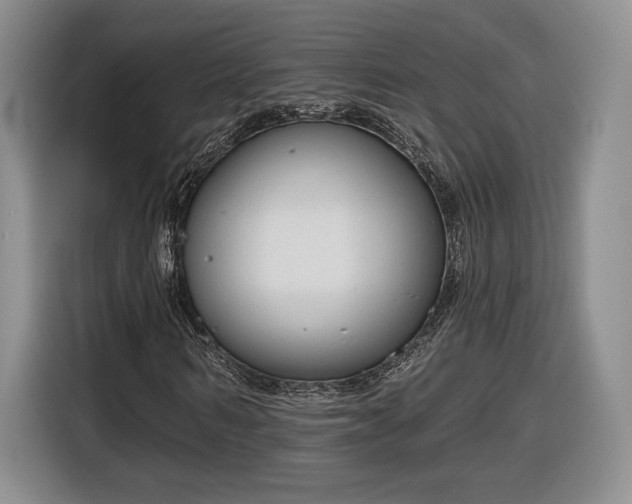 X0000116630962200912181322