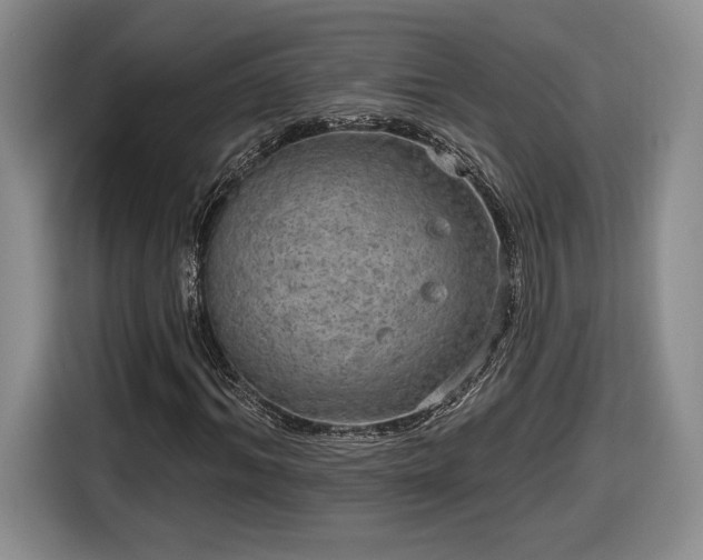 X0000116630964200912181322