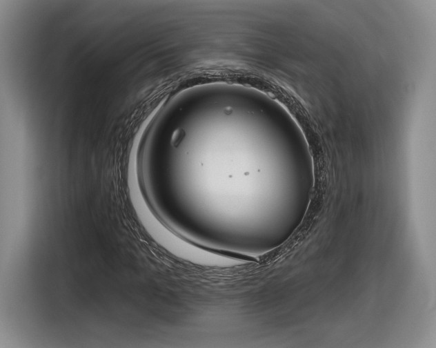 X0000116630965200912181322