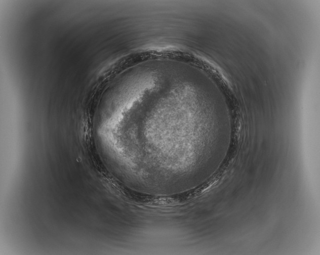 X0000116630966200912181322