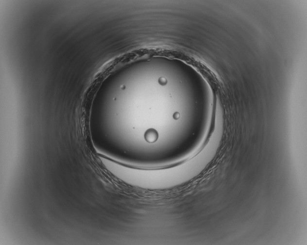 X0000116630968200912181322