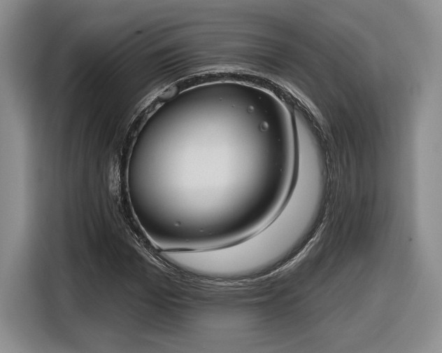 X0000116630969200912181322