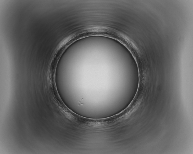 X0000116630970200912181321