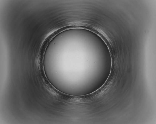 X0000116630971200912181321