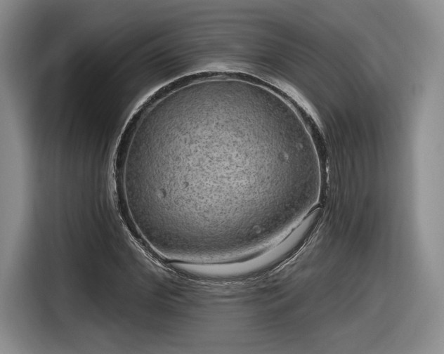 X0000116630972200912181321