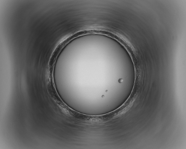 X0000116630974200912181321