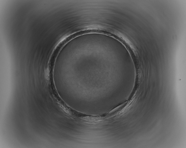 X0000116630975200912181321