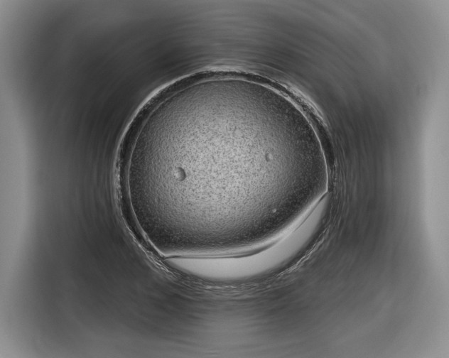 X0000116630976200912181321