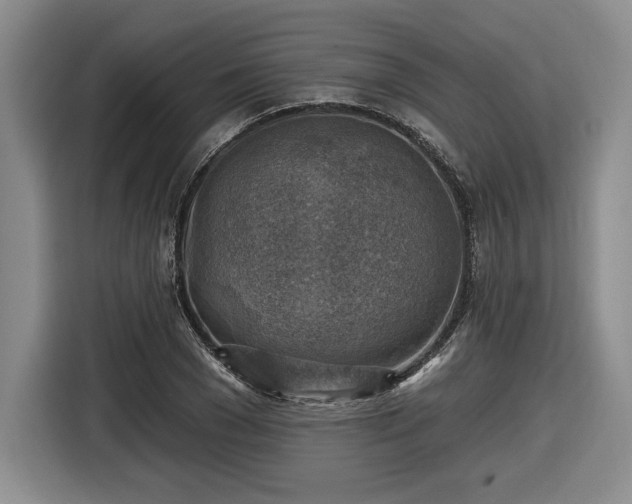 X0000116630977200912181321