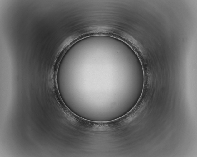 X0000116630978200912181321