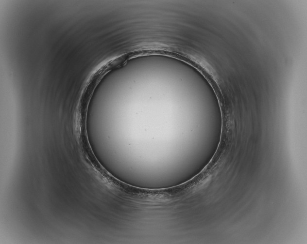 X0000116630979200912181321