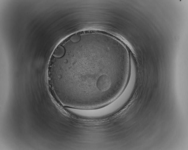 X0000116630980200912181321