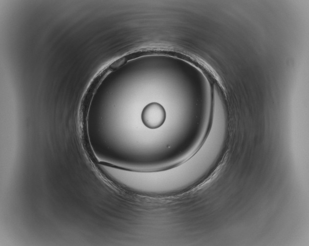 X0000116630981200912181321