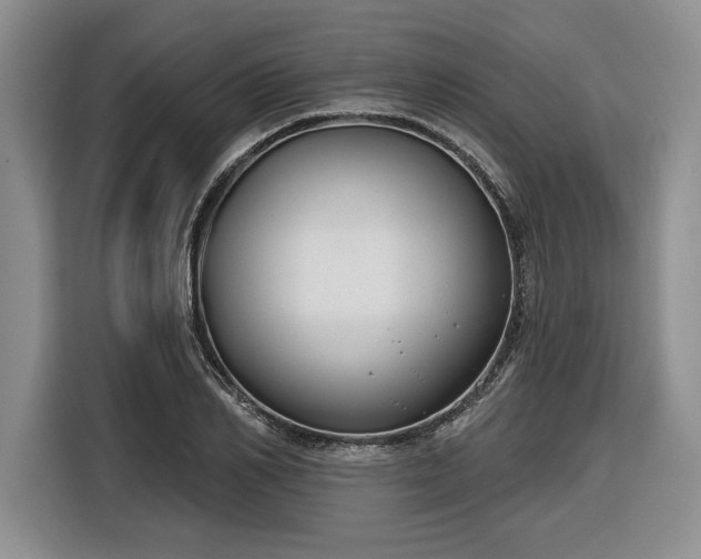 X0000116630982200912181321