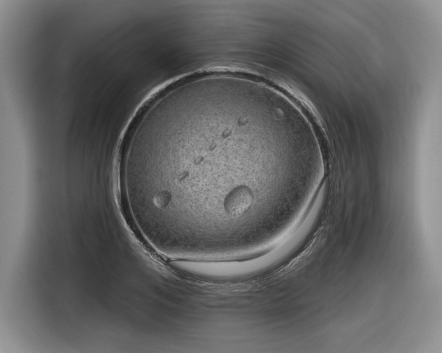 X0000116630984200912181321