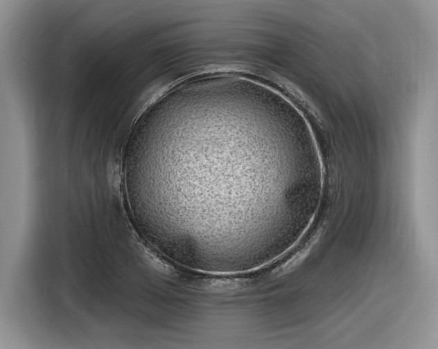 X0000116630985200912181321