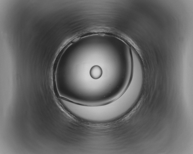 X0000116630986200912181321