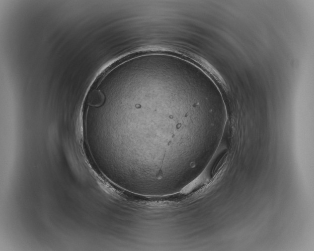 X0000116630988200912181321