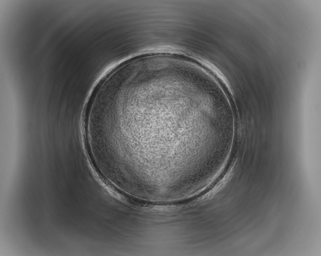 X0000116630989200912181321