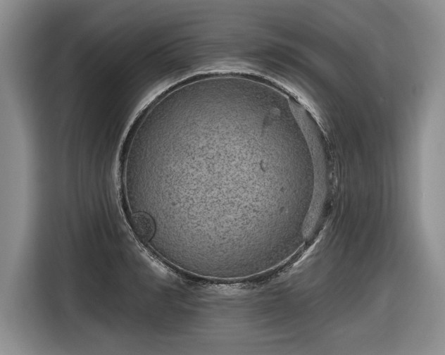 X0000116630990200912181321