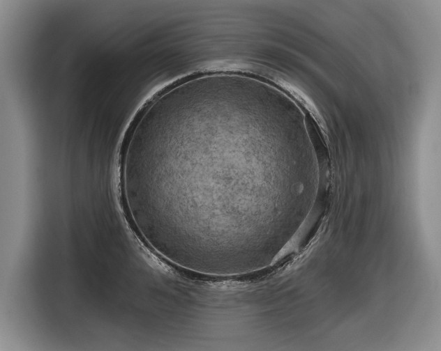 X0000116630992200912181321