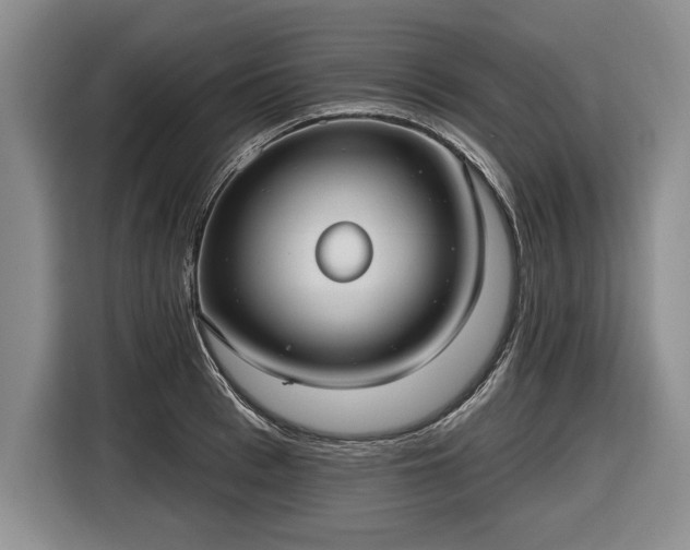 X0000116630993200912181321