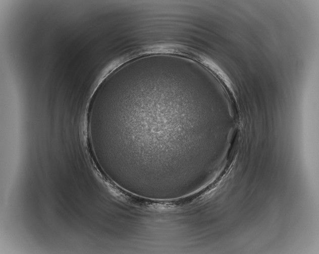 X0000116630994200912181321