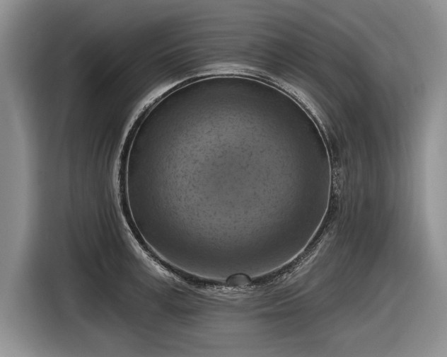 X0000116630995200912181321