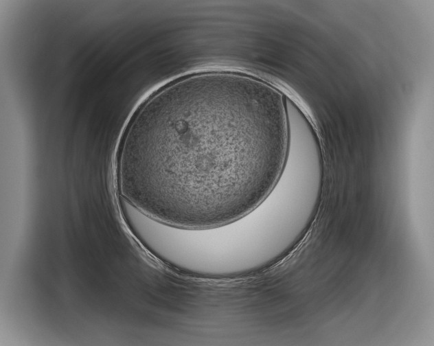 X0000116630996200912181321