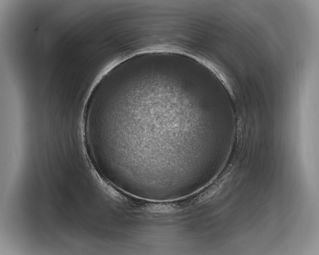 X0000116630998200912181321