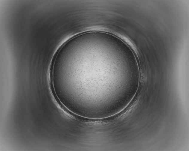 X0000116630999200912181321