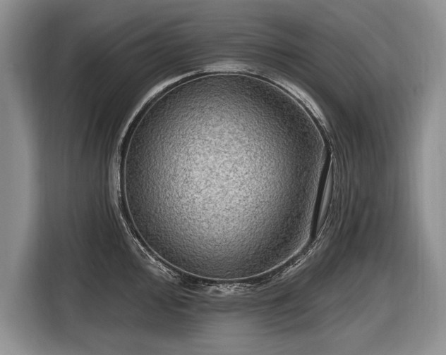 X0000116631000200912181321