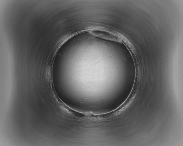 X0000116631001200912181321