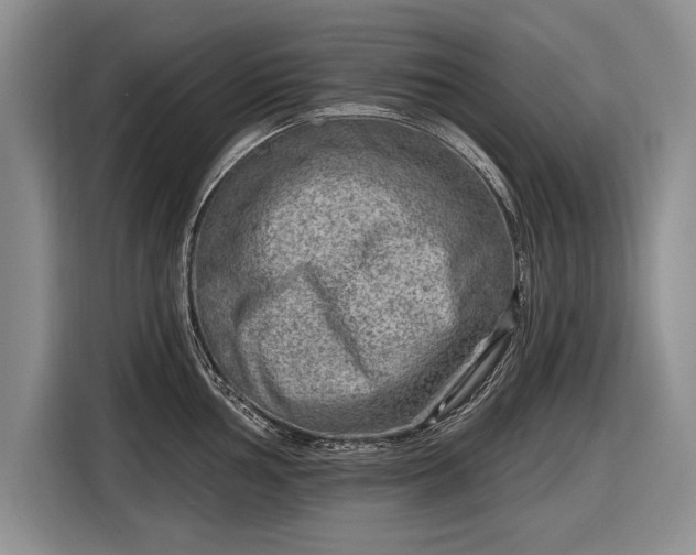 X0000116631002200912181321