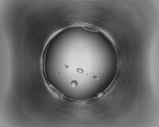 X0000116631003200912181321