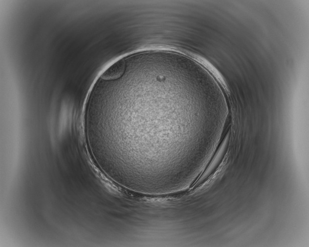 X0000116631004200912181321