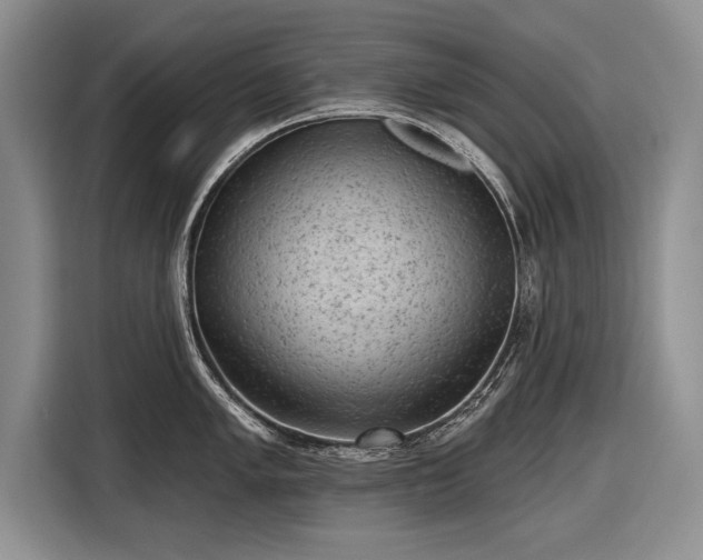 X0000116631005200912181321