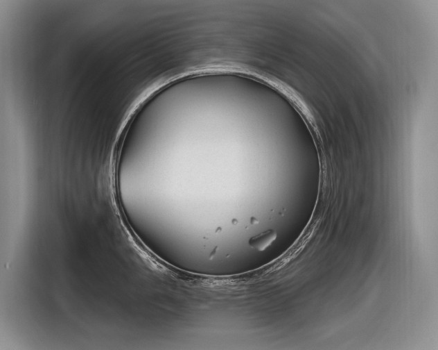 X0000116631006200912181321