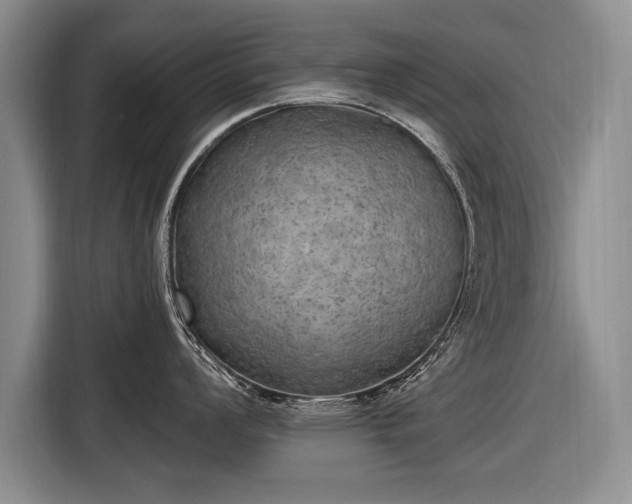 X0000116631008200912181321