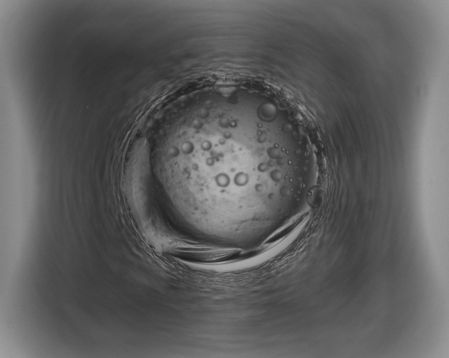 X0000116631009200912181320