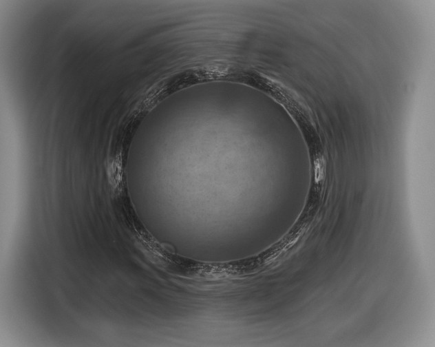 X0000116631011200912181320