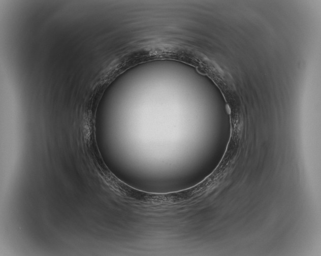 X0000116631012200912181320