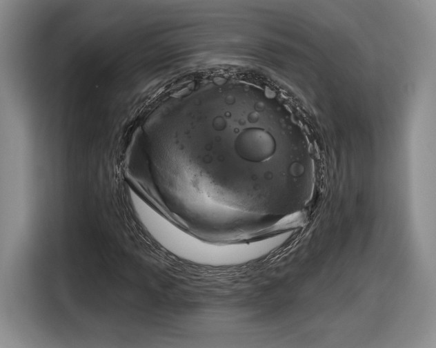 X0000116631013200912181320