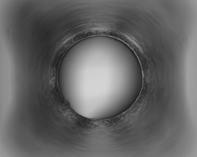 X0000116631015200912181320