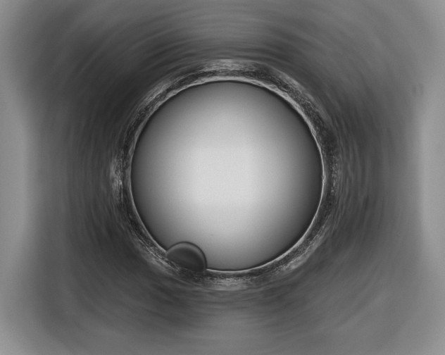 X0000116631017200912181320