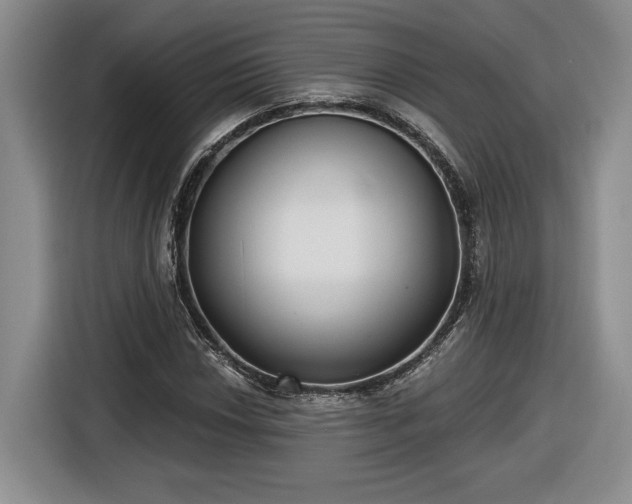 X0000116631018200912181320